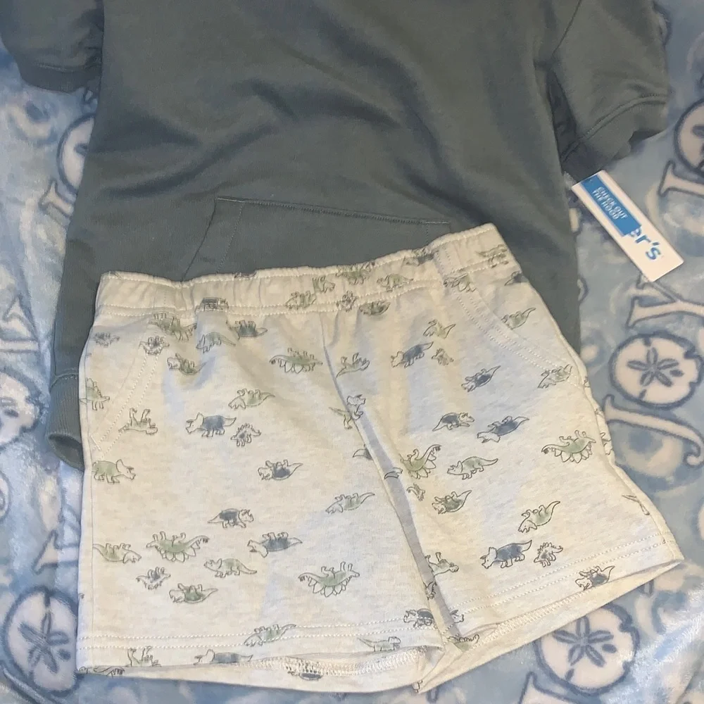 Carter's Hoodie Sweatshirt and shorts set